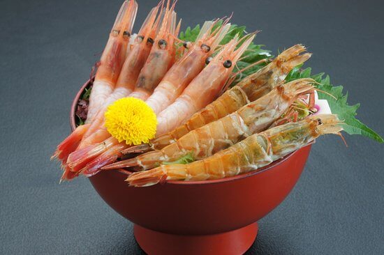 Mosaebi モサエビ (Phantom Shrimp)