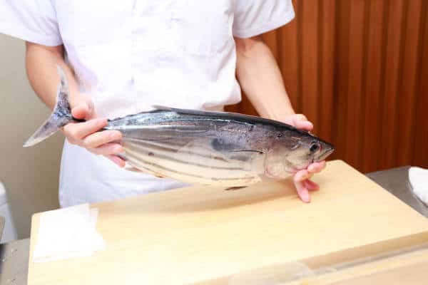 Katsuo (鰹)