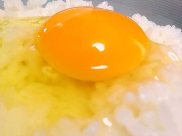 Tamago Kake Gohan (卵かけご飯)