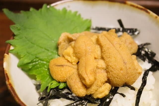 Uni don (うに丼)