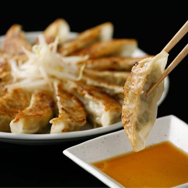 Hamamatsu Gyoza (浜松餃子）