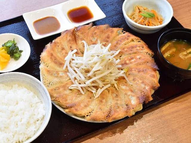 Hamamatsu Gyoza (浜松餃子）