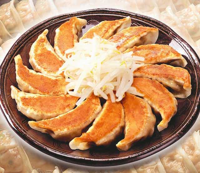 Hamamatsu Gyoza (浜松餃子）