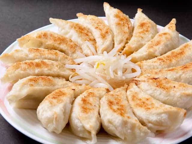 Gyoza (餃子)
