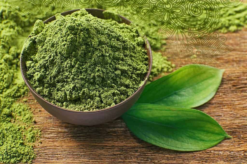 Matcha - Health info, History, Matcha products and Stores