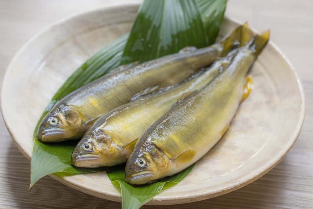 Ayu - Sweetfish or Fragrant Fish in Japan