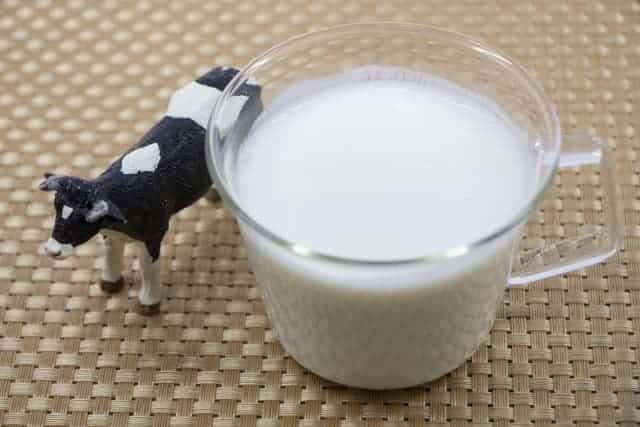 Yogurt and the cow figure