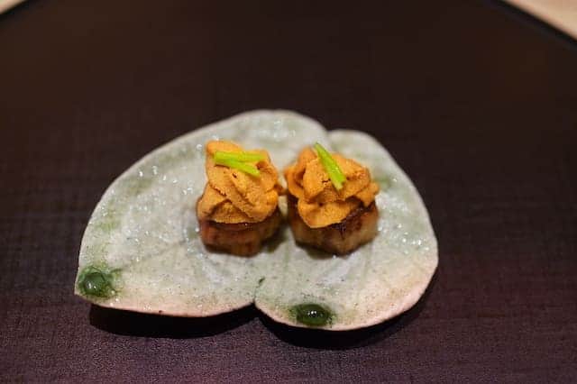 Sea urchin eggplant