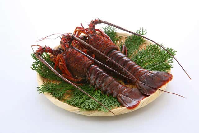 Spiny lobster on wooden plate