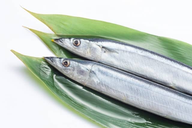 raw sanma