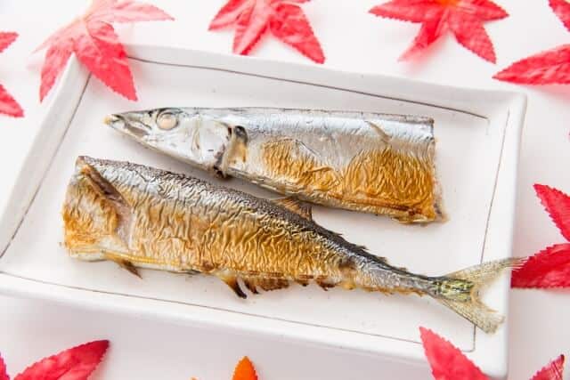 pacific saury grilled