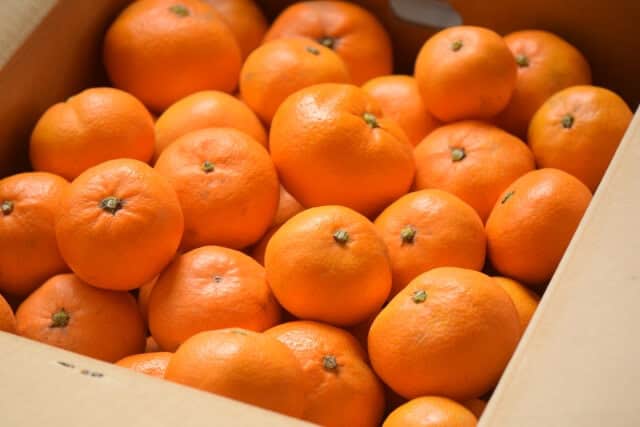 box of mandarin oranges