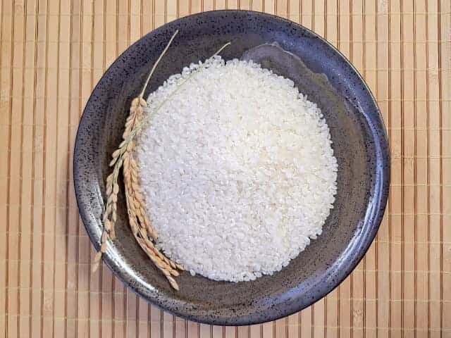 Rice and ear of rice