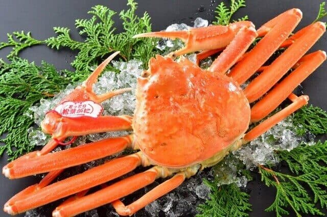 fresh Matsuba crab (松葉ガニ)