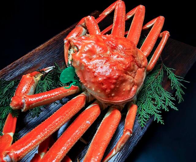 close up photo of Matsuba crab (松葉ガニ)